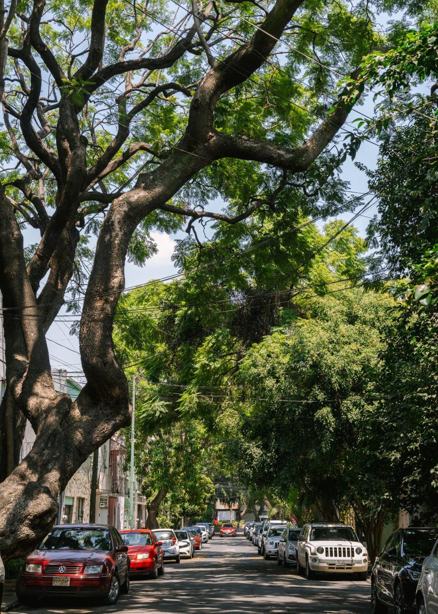 Sonder Miravalle México DF Exterior foto
